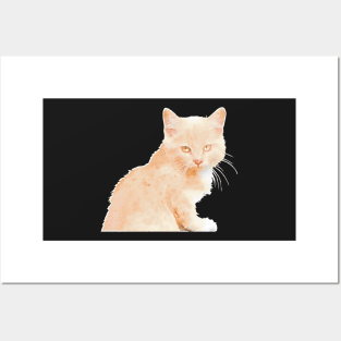 Butterscotch Kitten Posters and Art